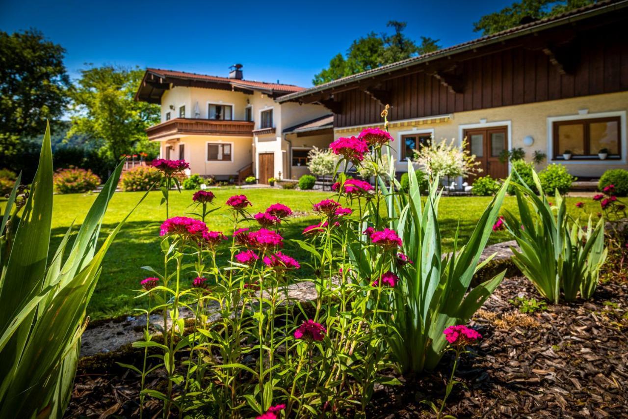 Ferienwohnung Wallmerhof Am Laendlichen Wimberg Adnet Εξωτερικό φωτογραφία